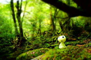 Illustration for article titled Visit the Real Princess Mononoke Forest